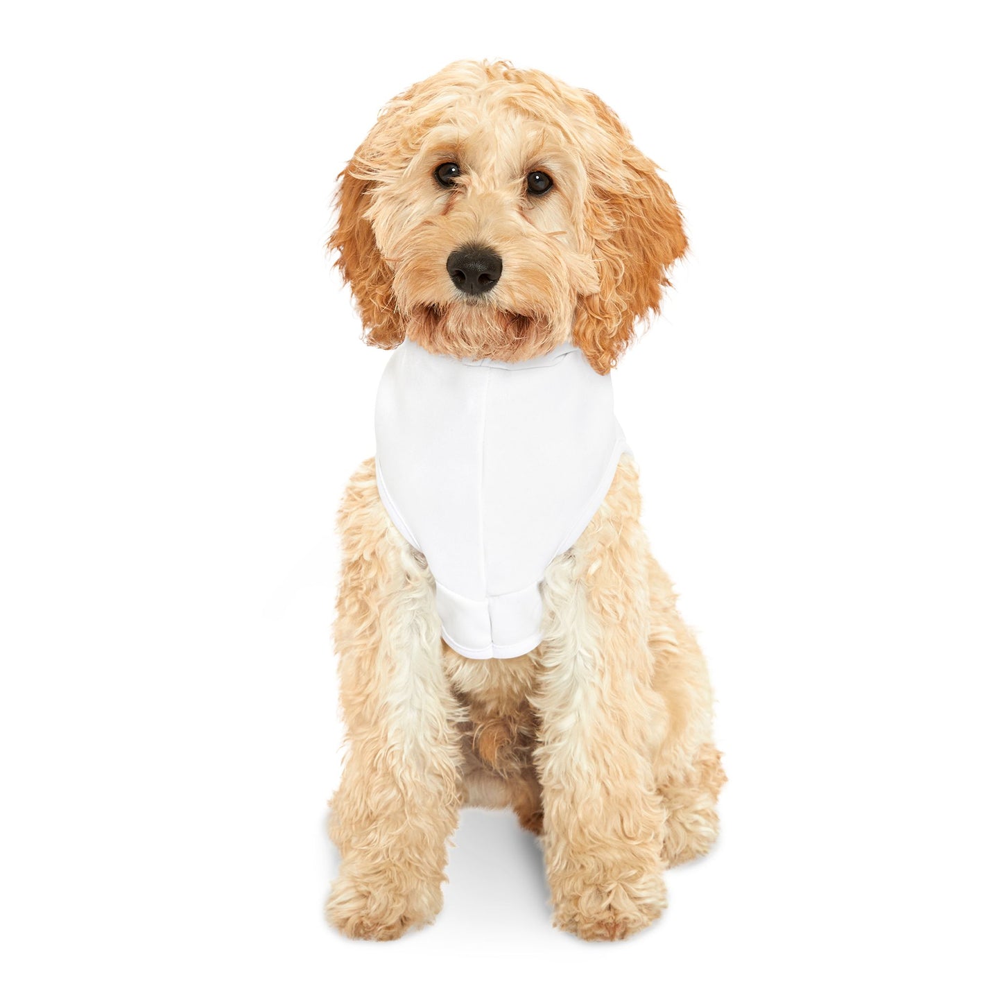 New Arrival- Love My Pet Exclusive Dog Hoodie - Pets Bargains