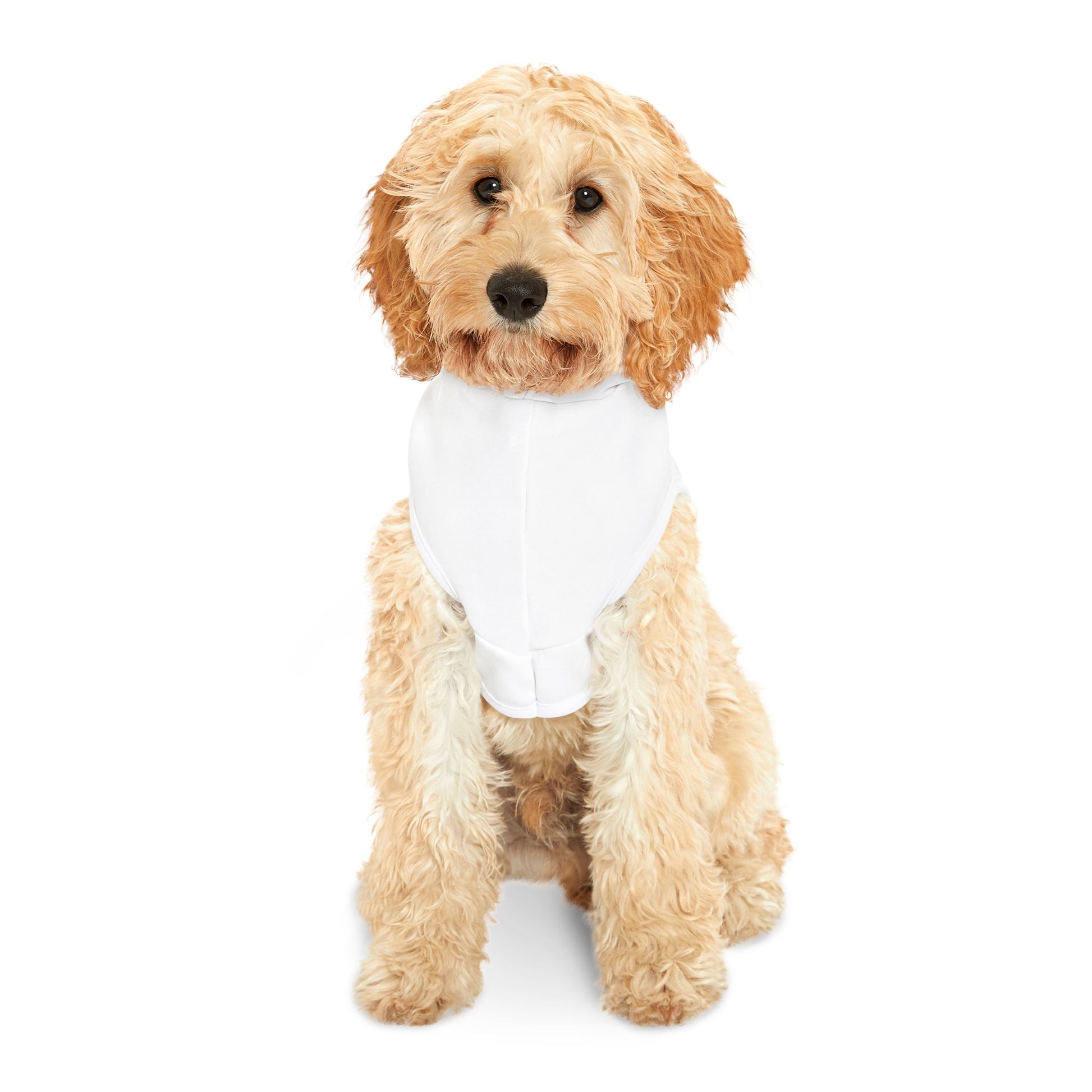 New Arrival- Love My Pet Exclusive Dog Hoodie - Pets Bargains